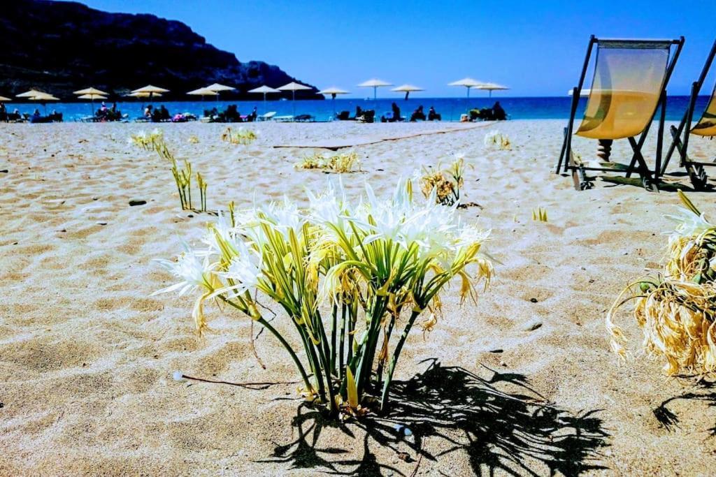 Annamaria Sea Side View Studio- 25M From The Beac Plakias Esterno foto
