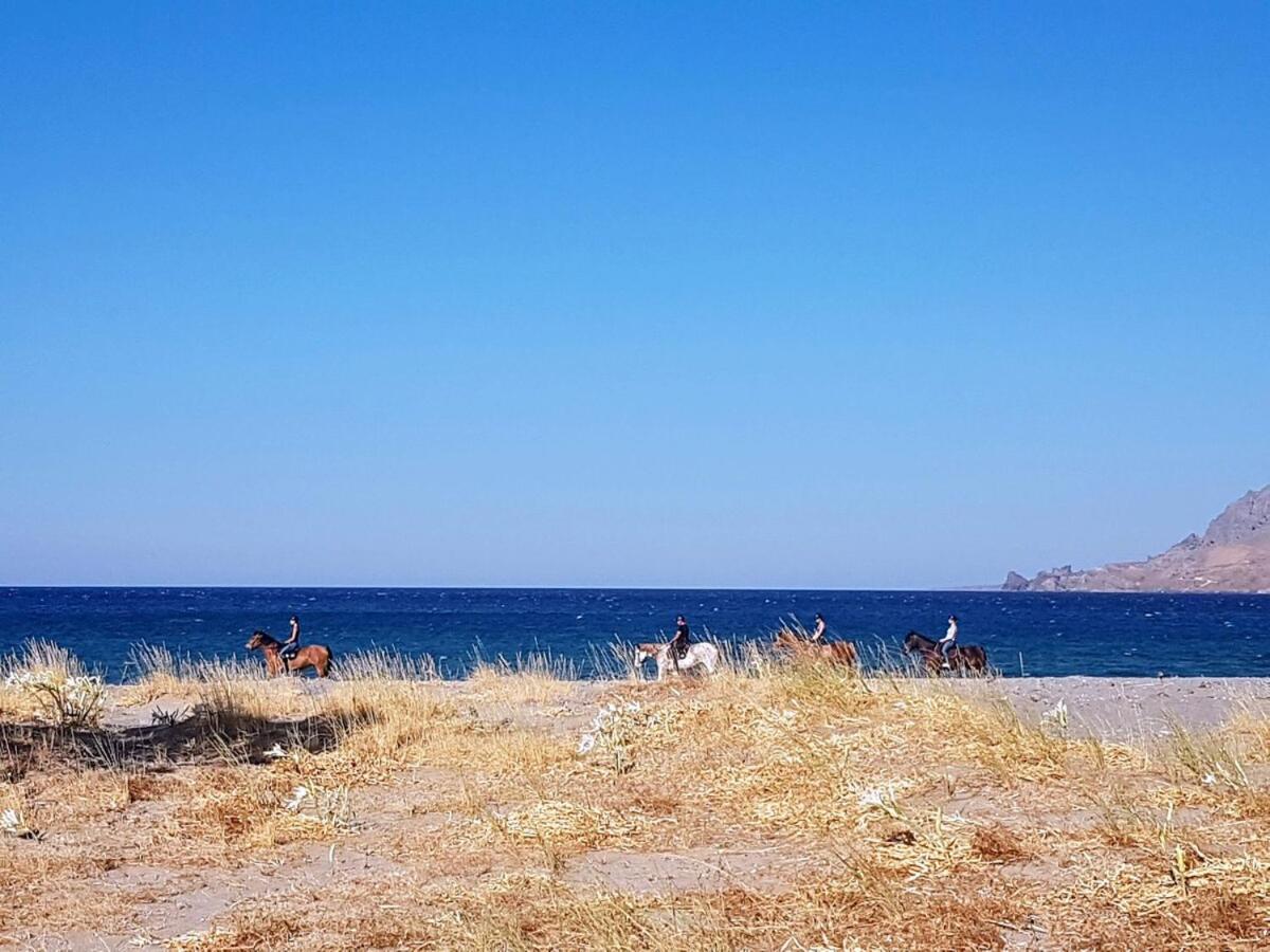 Annamaria Sea Side View Studio- 25M From The Beac Plakias Esterno foto